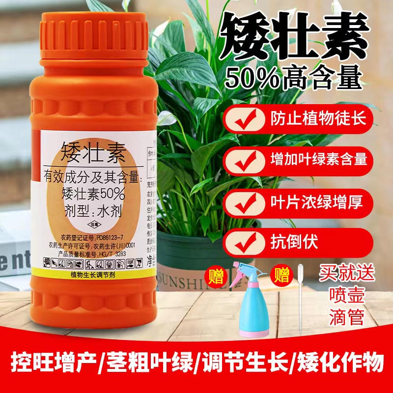 国光矮壮素花卉多肉水仙控徒长