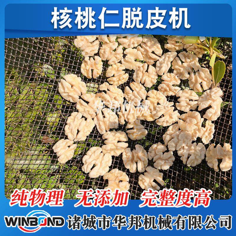 供应新款核桃仁纯物理去皮机 核桃露加工专用设备 核桃仁去皮机