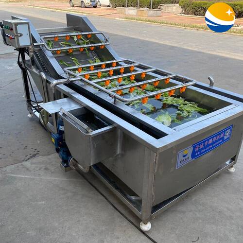 山野菜清洗风干流水线 自动商用气泡喷淋白菜清洗设备 叶菜清洗机