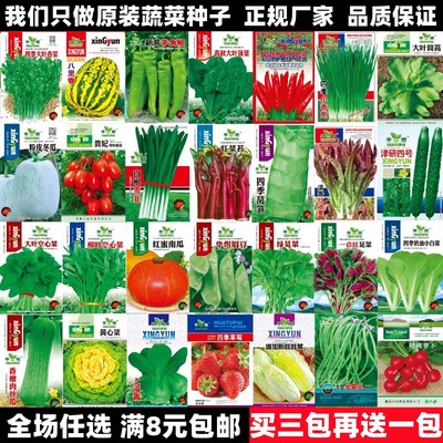 蔬菜种子四季播盆栽阳台庭院香菜青菜黄西瓜生菜小葱番茄籽孑大全