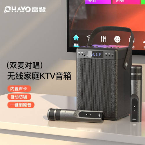 雷登（OHAYO）无线手提家用ktv蓝牙音响家庭影院电视K歌居家卡拉o