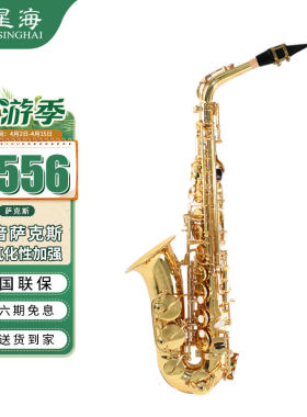 星海中音萨克斯初学考级通用降E调E-421