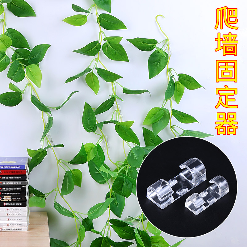 绿箩爬上神器绿萝固定器