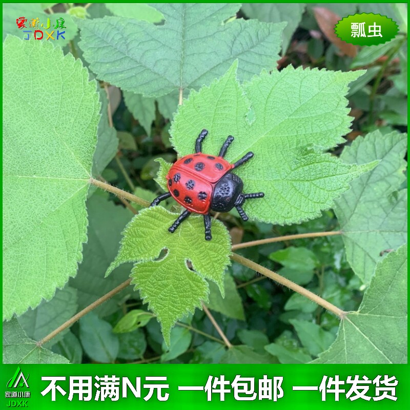 仿真昆虫塑胶包邮玩具