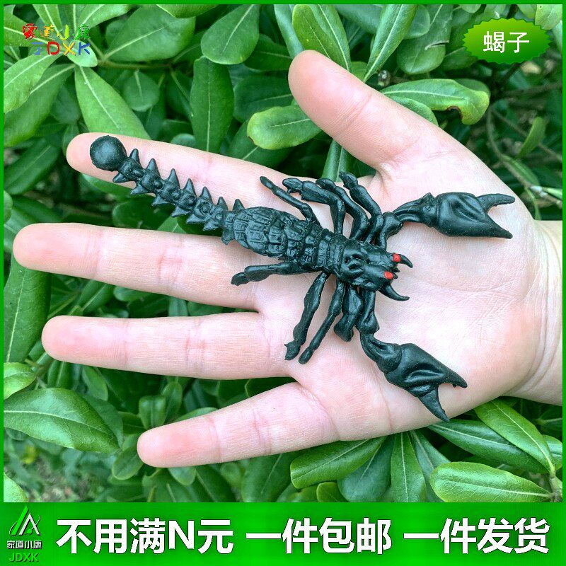 仿真软胶黑色蝎子蜘蛛幼儿园儿童玩具整蛊恶搞吓人恐怖静态昆虫动
