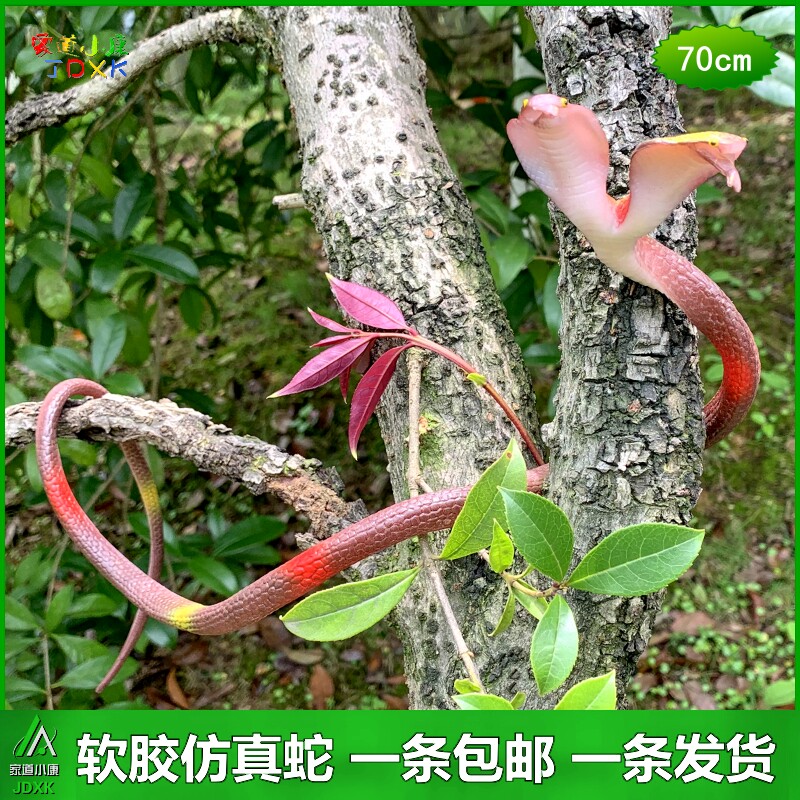 眼镜蛇软胶双头仿真蛇包邮