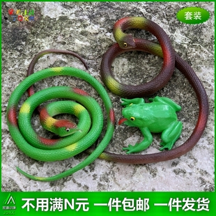 软胶仿真玩具假蛇青蛙瓢虫蟑螂蜘蛛吓人大小蛇幼儿园昆虫动物模型
