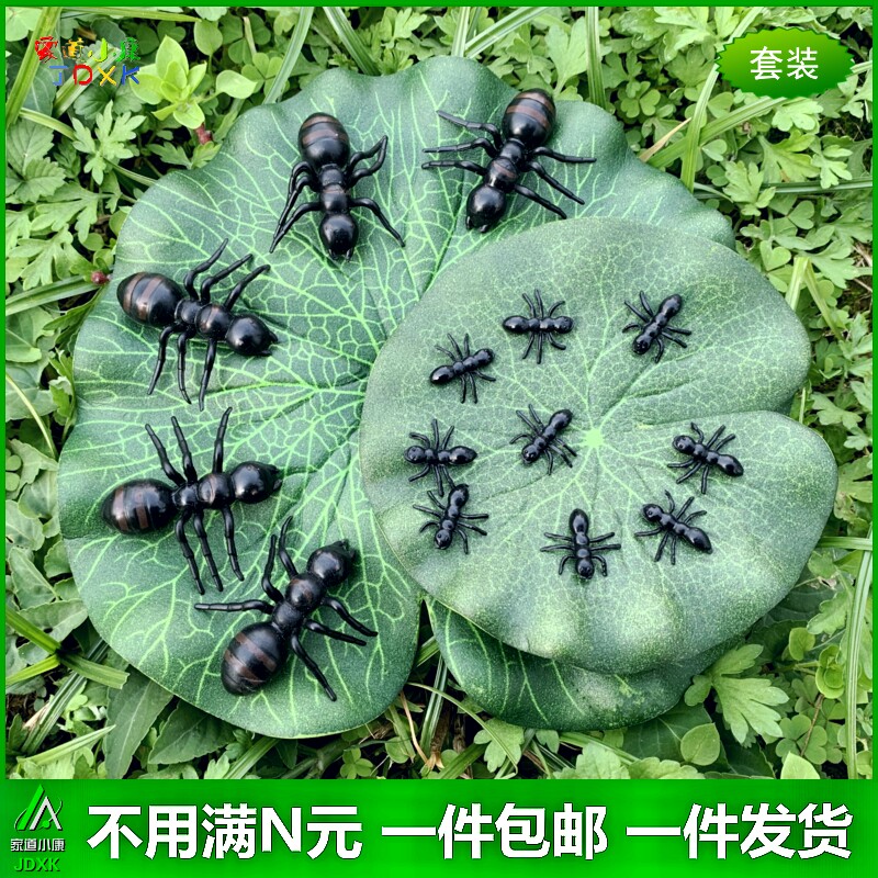 蚂蚁塑胶包邮仿真昆虫