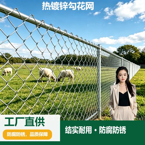 热镀锌勾花网果园菜园隔离网活络网斜方网加厚抗撞铁丝网菱形网