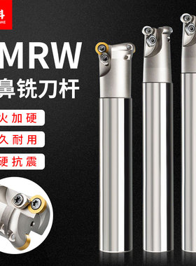 蓝科圆鼻刀杆EMR数控铣刀杆抗震型加工中心R4 R5 R6牛鼻立铣刀杆