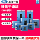 上海一恒DHG 9030电热鼓风干燥箱智能数显恒温烘箱烤箱实验室工业