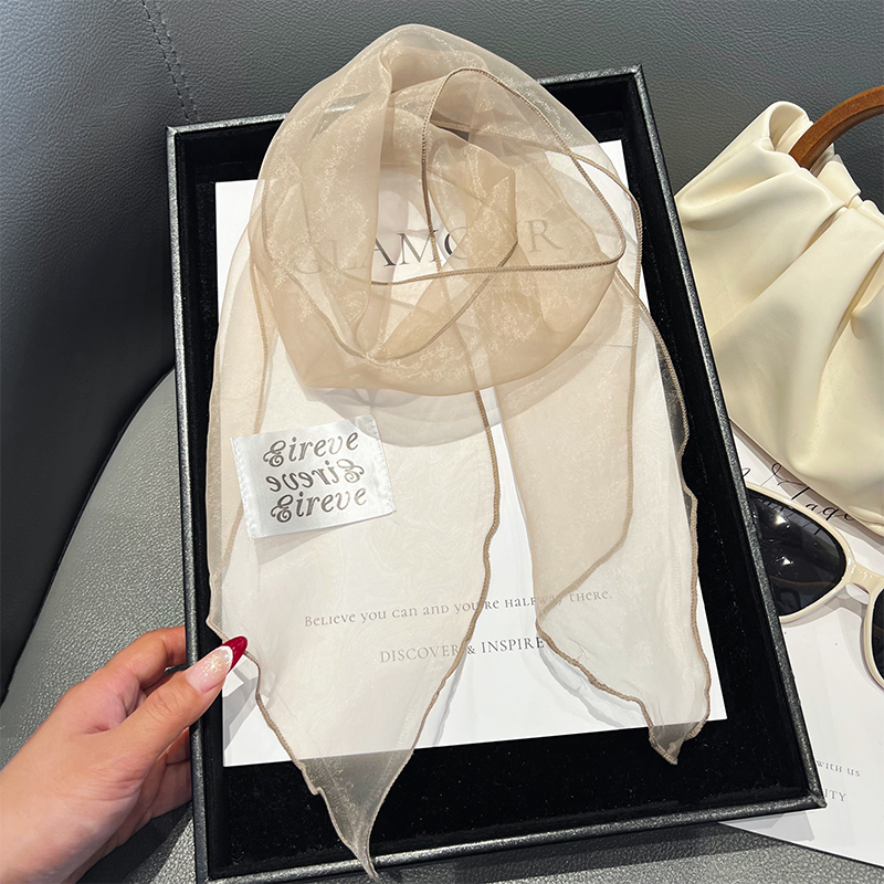 2025新款高级感韩系丝巾女夏季薄款洋气透明发带装饰百搭丝带领巾