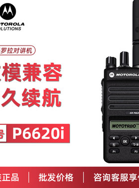 Motorola摩托罗拉对讲机P6620i
