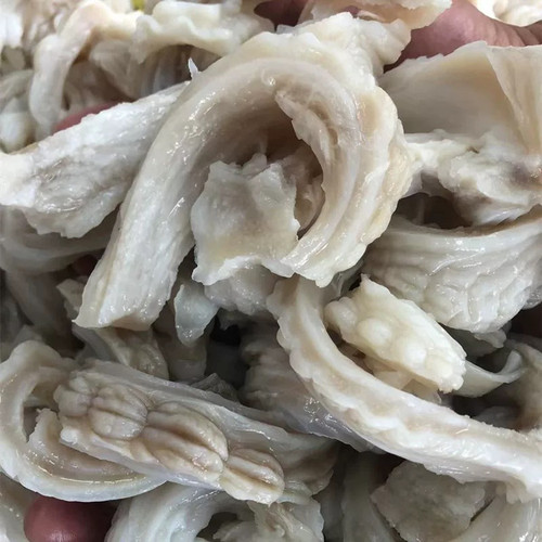 正宗鲨鱼肠新鲜鲨鱼肚脆肠脆肚子