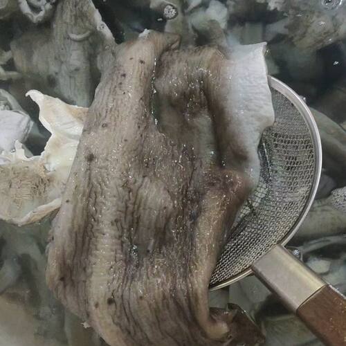 特大水鲨皮鱼皮去沙沙鱼皮厚顺丰