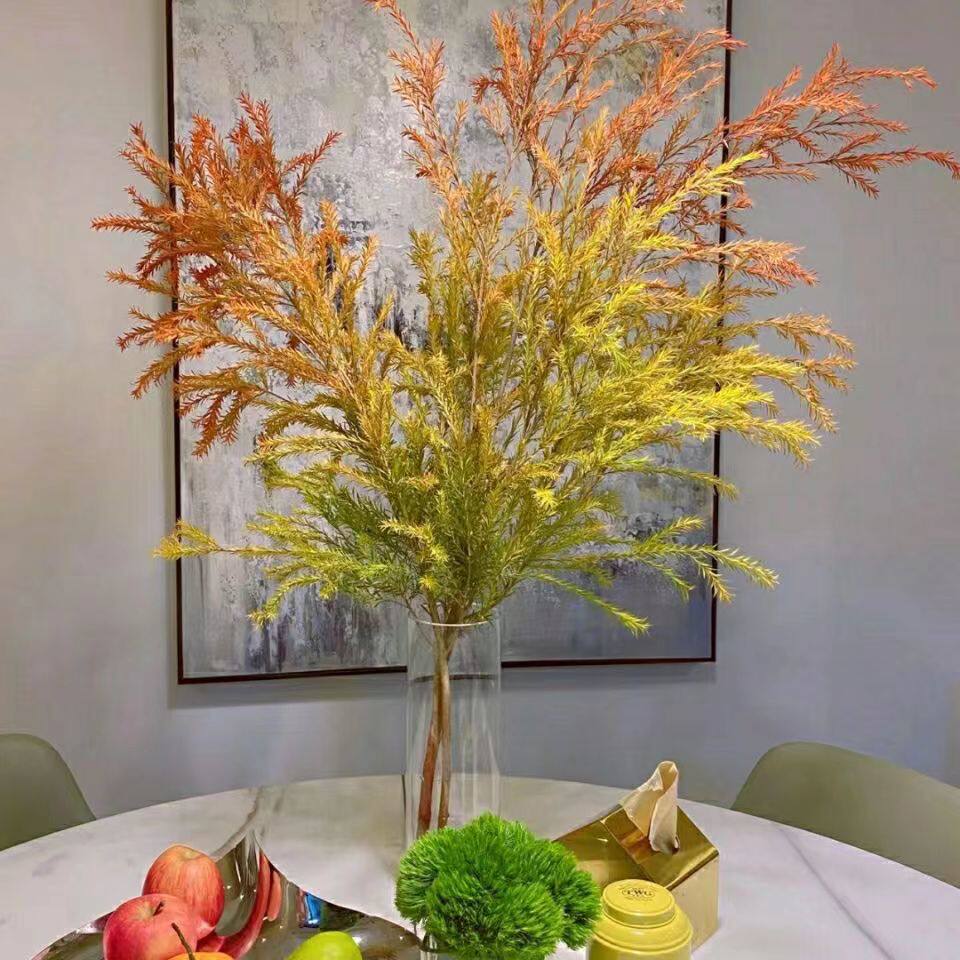 千层金水培植物鲜切枝条秋色云南直发家庭绿植黄金香柳水养干插花