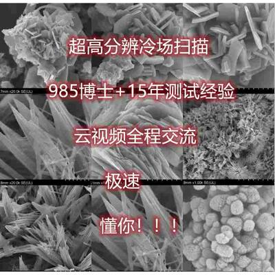 SEM测试 形貌观察 EDS能谱点线面mapping扫描电镜 分析 喷金免费
