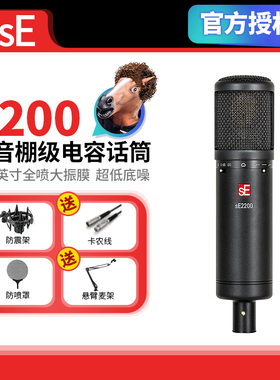 美国sE 2200 专业录音配音K歌设备主播直播话筒 大振膜电容麦克