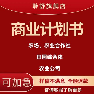 代做商业计划书融资项目方案创业策划可行性研究报告立项撰写PPT