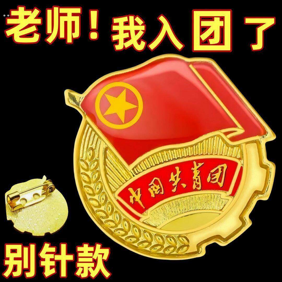 团徽2025标准型中国共青团团员徽章学校学生青年用别针强磁新款