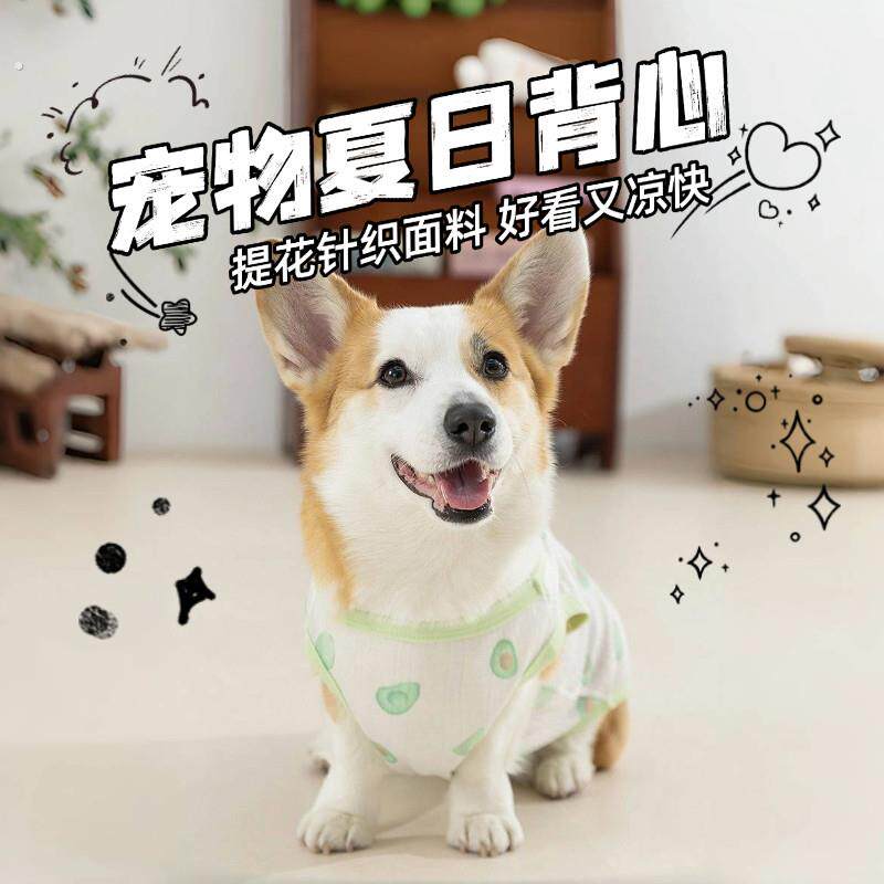 柯基夏天背心薄款法斗柴犬中小型犬八哥犬宠物夏季狗狗衣服两脚衣
