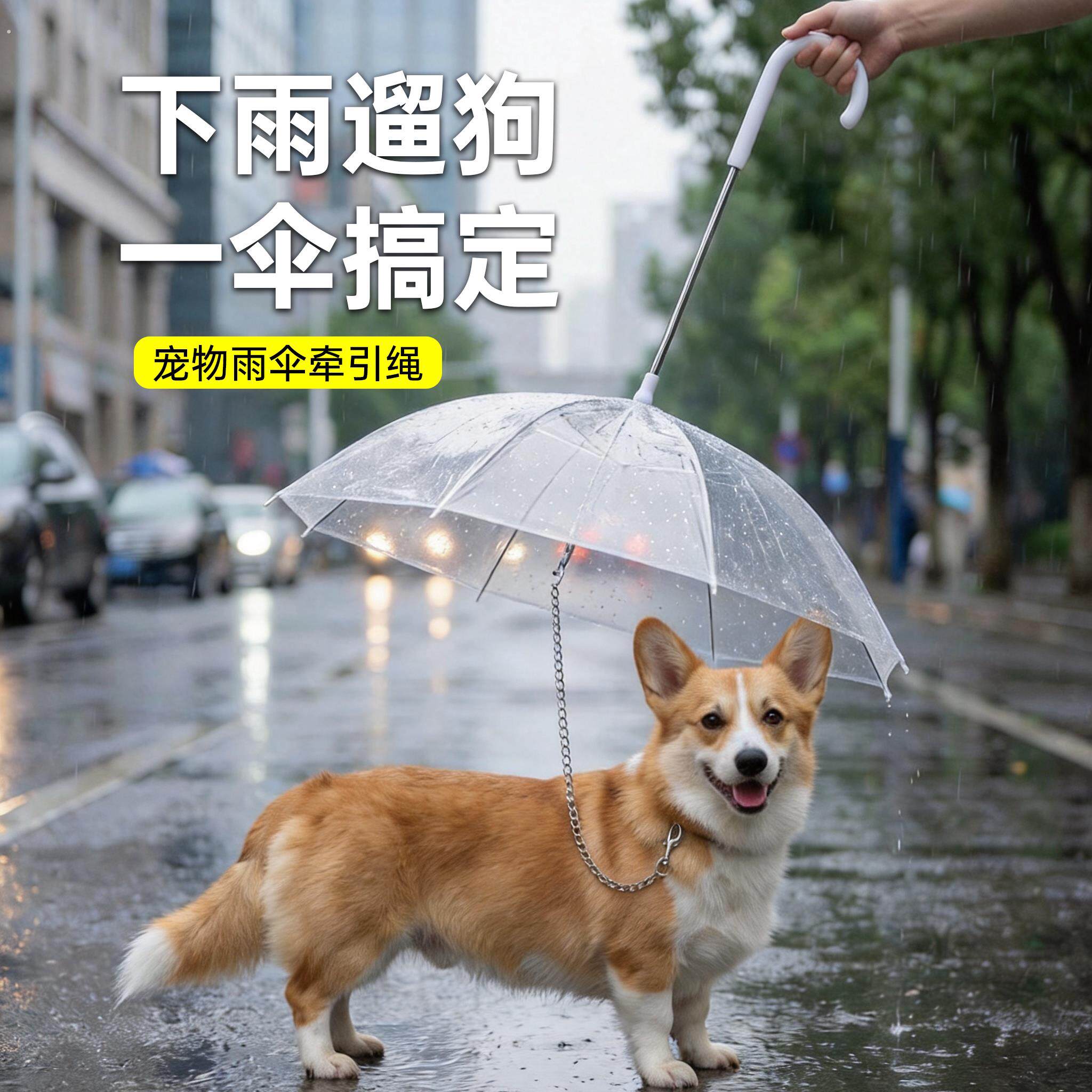 狗狗雨伞牵引绳二合一加厚防雨中小型犬全身遮挡下雨天遛狗神器芰