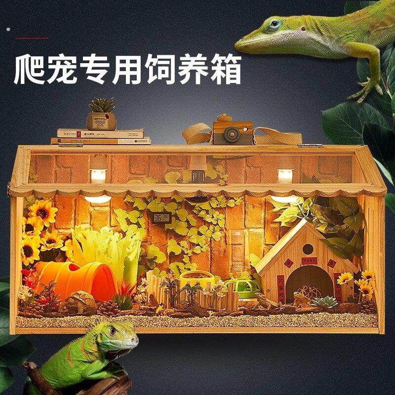 蟑螂锹形虫爬宠箱饲养箱黑色有盖子高松鼠水陆缸龙猫荷兰猪雨林蟹