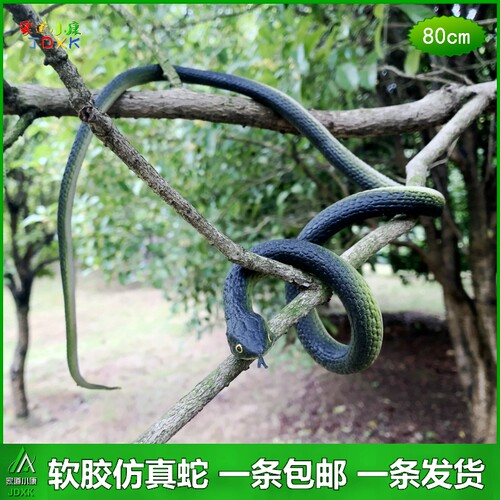 仿真蛇软胶玩具蛇眼镜蛇包邮