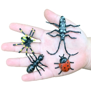 仿真蜘蛛蚂蚁瓢虫天牛幼儿园儿童玩具可爱假昆虫塑胶动物可爱模型