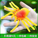 大号软胶仿真蜘蛛幼儿园儿童幼儿园认知玩具整蛊昆虫动物玩偶模型