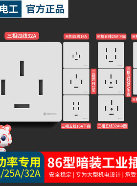 三相四线插座工业专用16A25A32A大功率插座四孔扁孔86型暗装面板