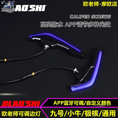 欧老师边灯适用九号Mmax2 F2z F90 MZ 小牛NXT极核改装个性装饰灯