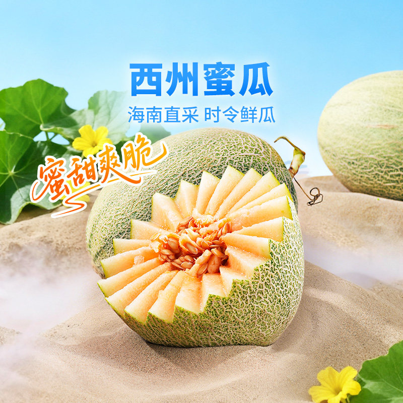 东方甄选西州蜜瓜哈密瓜甜瓜产自海南当季新鲜水果时令生鲜整箱,水产肉类/新鲜蔬果/熟食,哈密瓜,淘宝优惠券,粉丝福利购,淘宝优惠卷