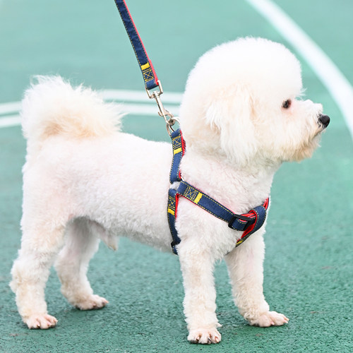 狗狗牵引绳大型中型小型犬狗链子狗项圈泰迪金毛遛狗绳子宠物用品 - 封面