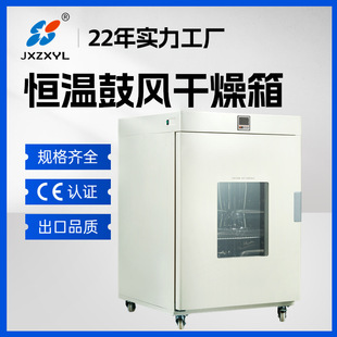 中新 恒温试验箱高低温电热鼓风立式干燥箱培养箱热风循环烘箱