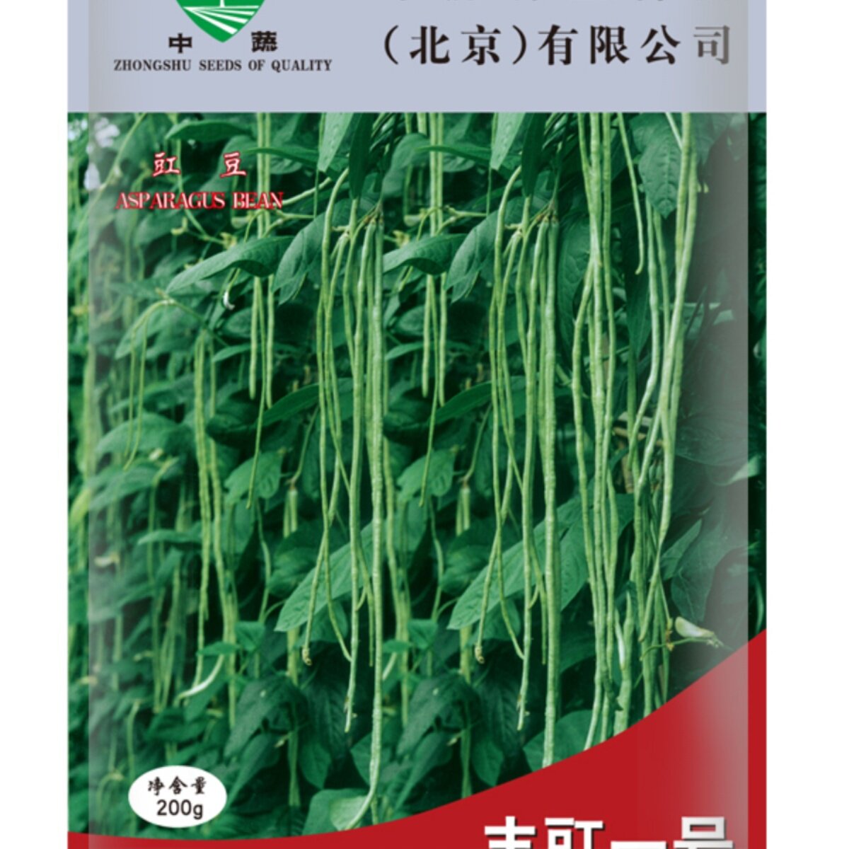 农科院中豇豆种子长豆角种籽四季可种绿色豆荚蔬菜籽种孑