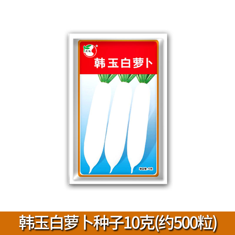 白萝卜种子蔬菜菜籽萝卜种子