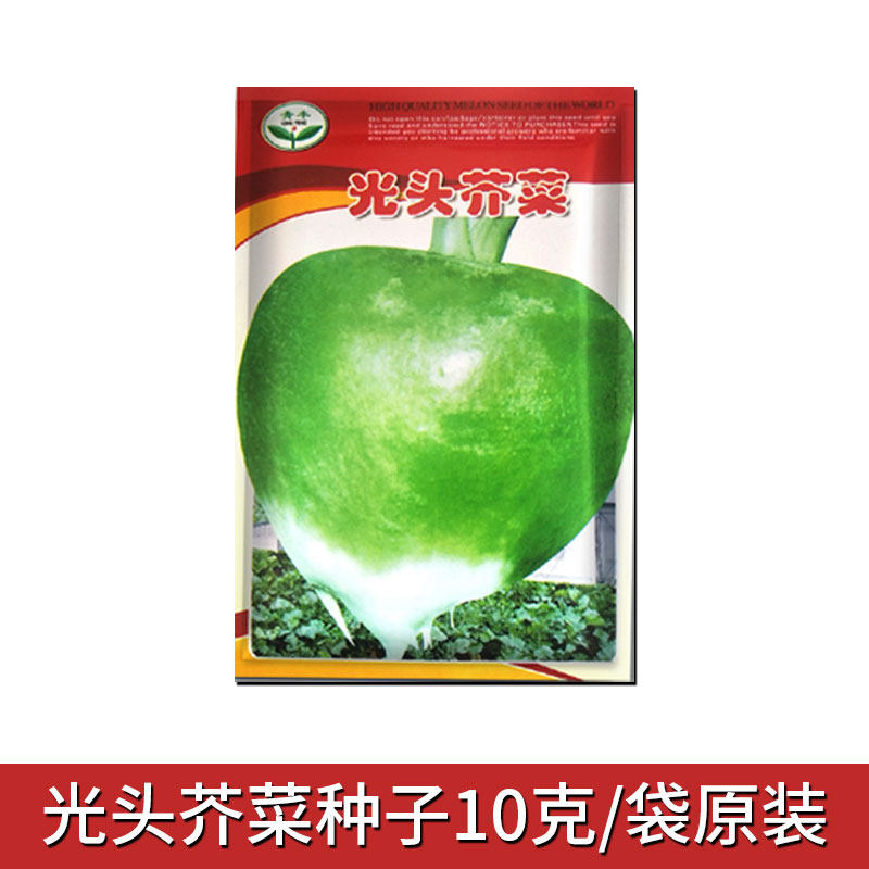 芥菜疙瘩种子大全东北芥菜腌渍咸菜泡菜四季蔬菜种籽红黄蔓菁种孑