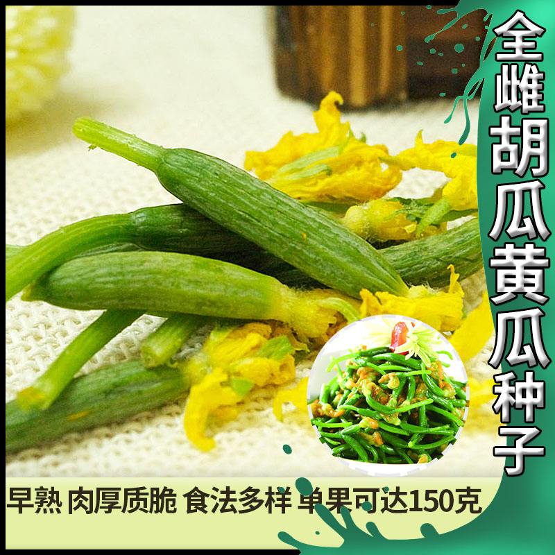 全雌胡瓜黄瓜种子小乳瓜农家四季大棚种植种籽腌制咸黄瓜蔬菜种孑