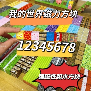 我 指定图案颜色孩子益智玩具礼物 磁力方块世界强磁升级版