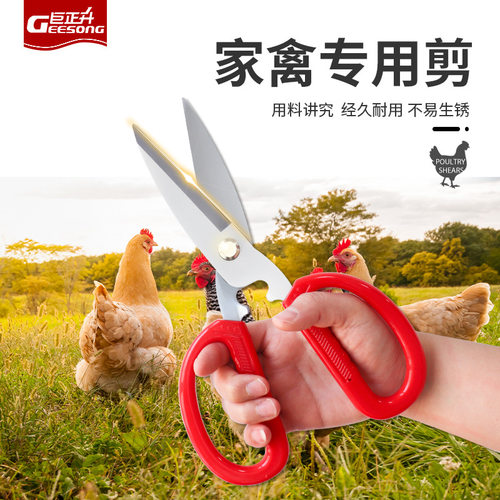 巨正升不锈钢家禽水产剪刀大号