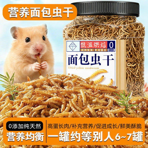 仓鼠芦丁鸡刺猬金丝面包虫干