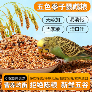 三丁五色黍子鹦鹉鸟粮虎皮牡丹玄凤通用营养鸟食混合谷物带壳饲料