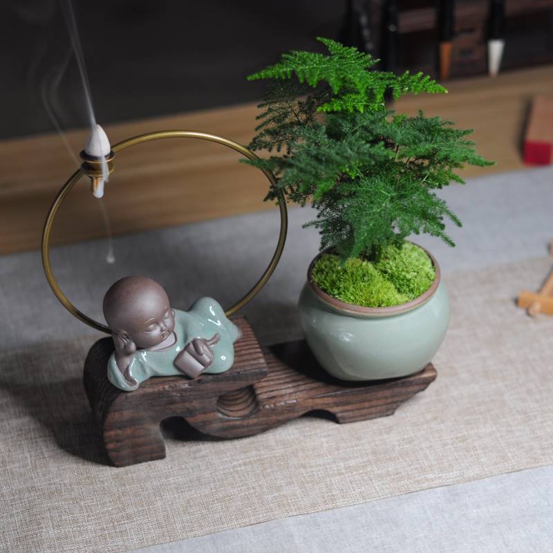文竹盆栽倒流禅意室内花卉绿植小香型桌面办公室中国风茶桌盆景