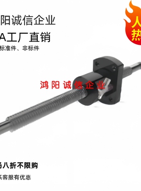 压轧滚珠丝杠LCV47-25-5-L800-F27 LCV49-25-25 LCG49-25-10