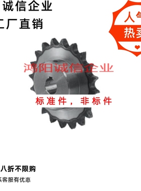 40B SP40B19-N-14-15-16-17-18-1F9-20-22-24-25-28-30-32-4.链轮