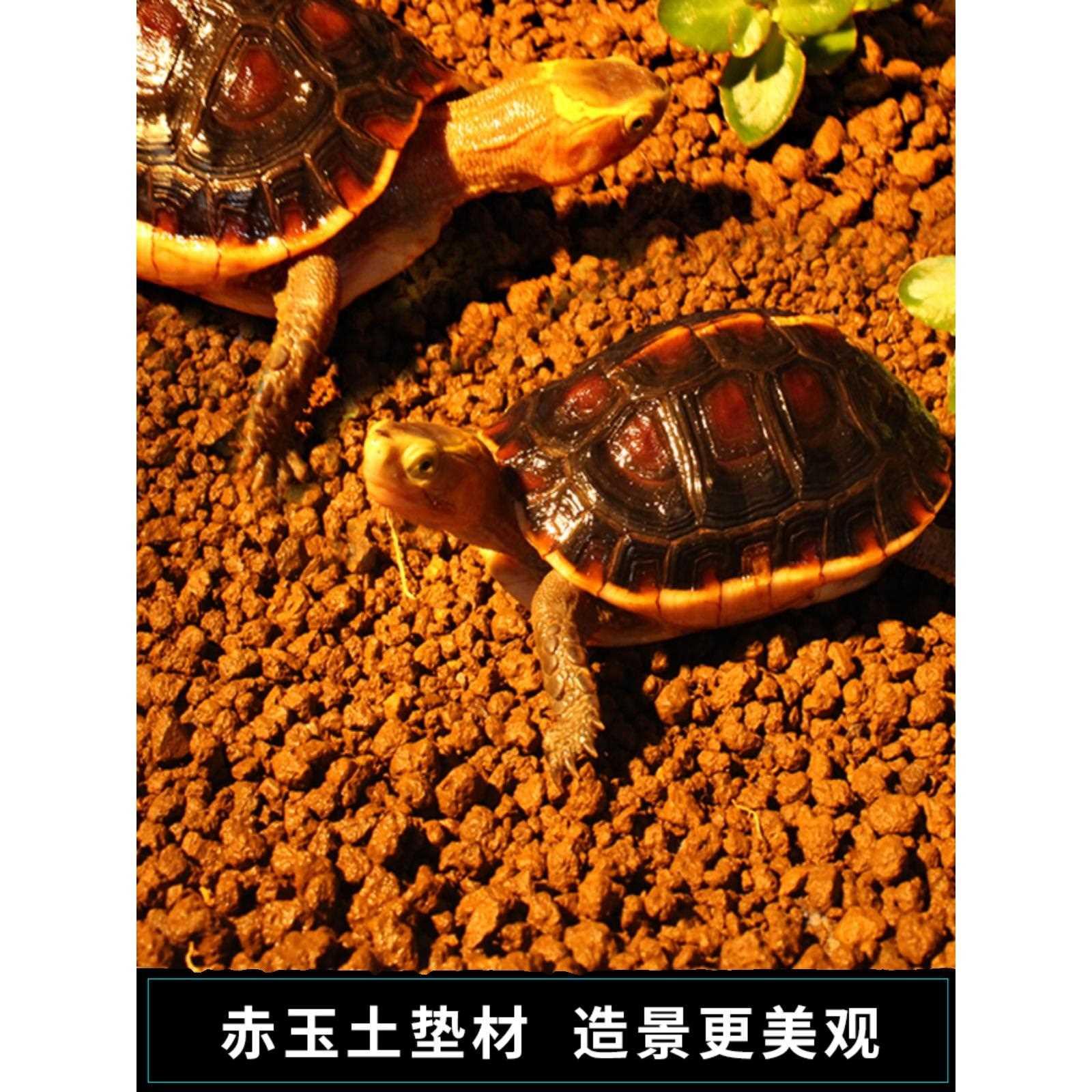 赤玉土乌龟陆龟垫材原生态多肉盆栽松柏类硬质不易粉化颗粒营养土