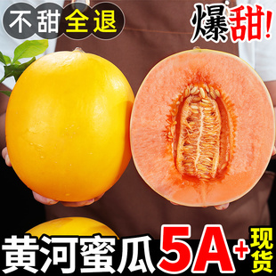 陕西黄河蜜瓜9斤新鲜水果整箱当季 香瓜3 黄金甜瓜金红宝哈密瓜当季