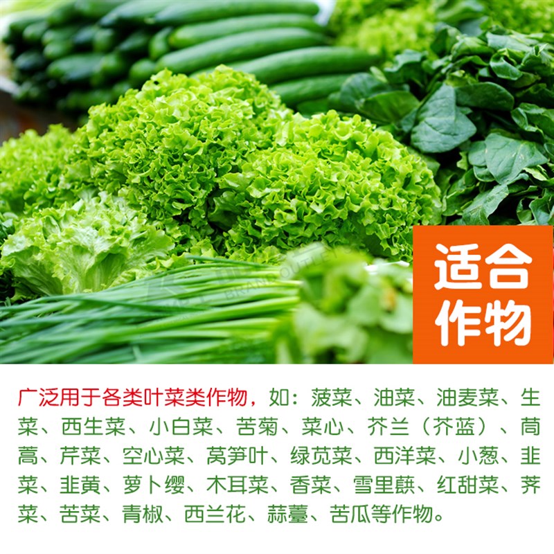 蔬菜专用叶面肥微量元素水溶肥料黄叶绿叶素M青菜家用种菜通用型