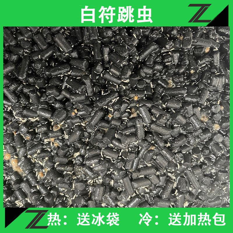 白符跳虫长角跳虫清缸螳螂蜘蛛角蛙鼠妇雨林蝎红疣虫雨林清洁实验